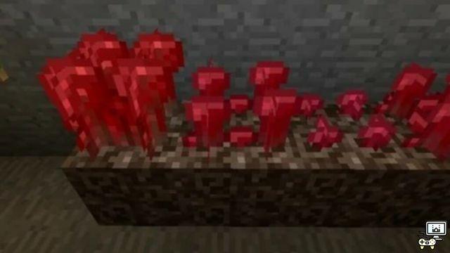 How to make a weird potion in Minecraft?